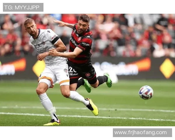 张广豪与小刘洋的巅峰对决谁能笑到最后精彩赛事全解析