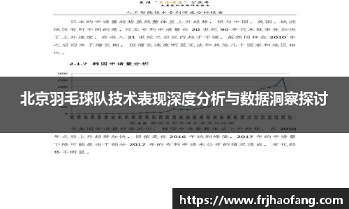 北京羽毛球队技术表现深度分析与数据洞察探讨